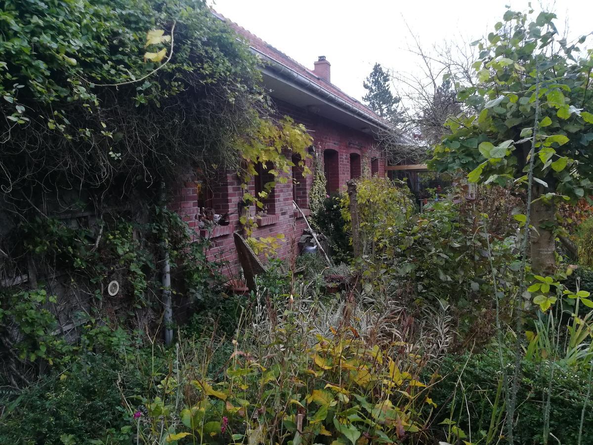 Pantgat Hof Bed and Breakfast Bollezeele Buitenkant foto