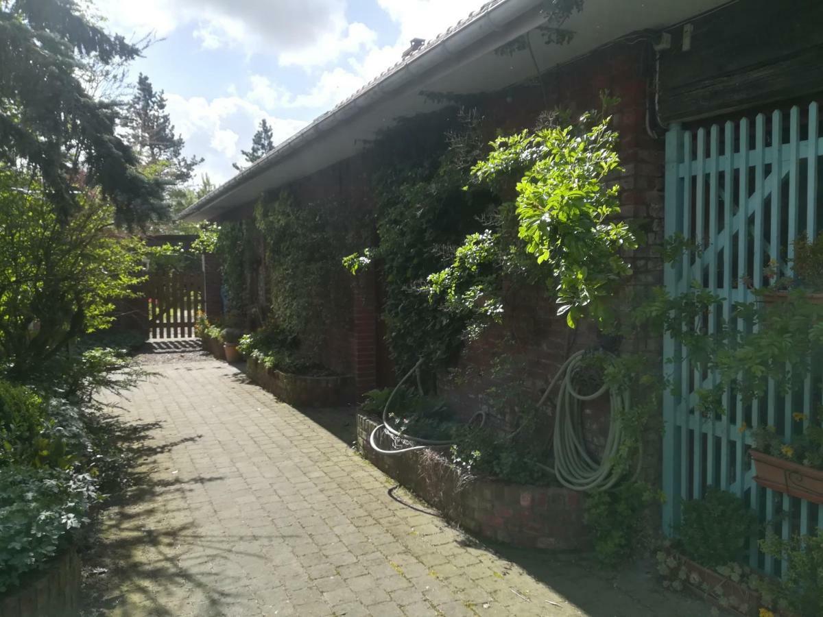 Pantgat Hof Bed and Breakfast Bollezeele Buitenkant foto