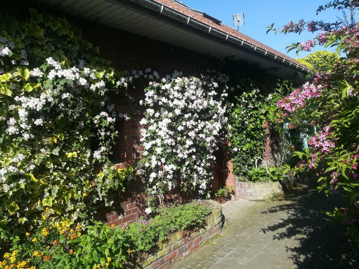 Pantgat Hof Bed and Breakfast Bollezeele Buitenkant foto